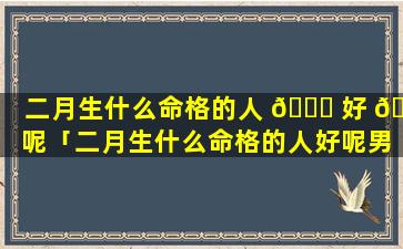 二月生什么命格的人 🐛 好 🐬 呢「二月生什么命格的人好呢男孩」